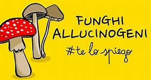 TUTTO QUELLO CHE DEVI SAPERE SUI FUNGHI ALLUCINOGENI E LA PSILOCIBINA | #TELOSPIEGO