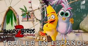 ANGRY BIRDS 2: LA PELÍCULA - Tráiler Final EN ESPAÑOL | Sony Pictures España