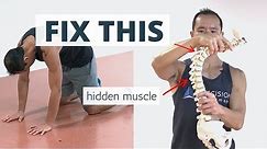 Wake Up This "Hidden" Muscle to Fix HUNCHBACK Posture (aka Kyphosis)