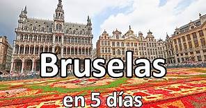 📌 BRUSELAS en 5 días 🟢 GUÍA DE VIAJE (4K) | Bélgica
