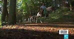 Disfrutar a caballo los paisajes de la región de Auvernia en Francia