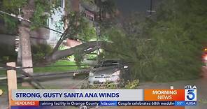 Damaging Santa Ana winds arrive in Southern California