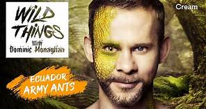 Army Ants | Wild Things with Dominic Monaghan (Season 1 Episode 1) | FULL EPISODE