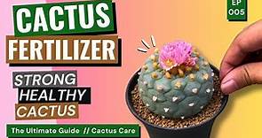 Grow Better with Fertilizer: Tips, Tricks, and Must Know! / Cactus Care Ep. 05