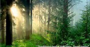 Traditional English Folk Song - "Greensleeves"