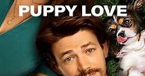 Puppy Love - película: Ver online completas en español