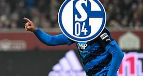 Er ballerte den FC Schalke 04 zurück in die Bundesliga: Das ist die Karriere von Simon Terodde