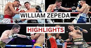 William Zepeda (27-0) Knockouts & Highlights
