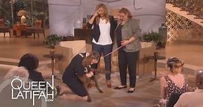 Dogs on Deployment Reunites Soldier's Dog on the Queen Latifah Show