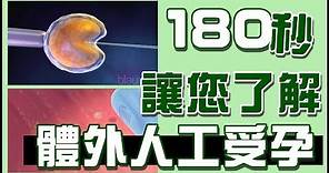 體外人工受孕（IVF）全過程，180秒讓您了解IVF！【不孕症治療】