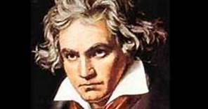 fur elise (Ludwig van Beethoven)