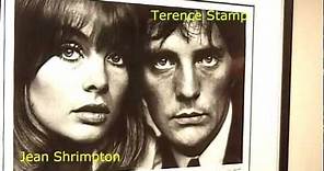 Jean Shrimpton & Terence Stamp - Celebrities