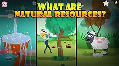 What Are Natural Resources? | Types Of Natural Resources | The Dr Binocs Show | Peekaboo Kidz