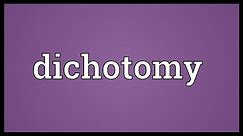 Dichotomy Meaning