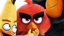 Angry Birds - Der Film - Stream: Jetzt Film online anschauen