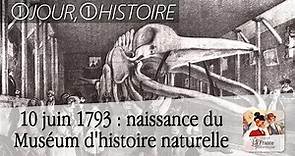 10 juin 1793 : naissance du Muséum d’histoire naturelle de Paris