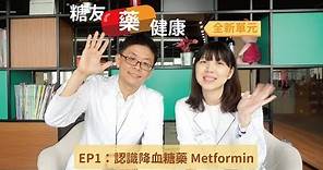 認識糖尿病常見用藥 Metformin【糖友藥健康】