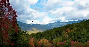 Bretton Woods Resort Canopy Tour