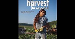 The Harvest (La Cosecha) Theatrical Trailer