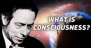What is Consciousness ? - Alan Watts About The Patterns Of Life
