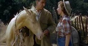 The Palomino (Western 1950) Jerome Courtland, Beverly Tyler, Joseph Calleia