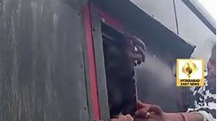 Man pokes head out of bus window for... - Hyderabad 24X7 News