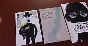 ¿Libros para empezar a leer a Hermann Hesse? Reseña