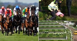 Grand National: Investigation into horse deaths after three die at race meeting | News UK Video News | Sky News
