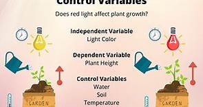 What Is a Control Variable? Definition and Examples