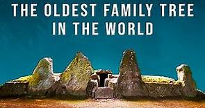 This is the Oldest Family Tree in the World (From the Tombs of Neolithic Britain)