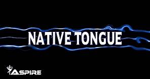 Native Tongue (lyrics) ~ Switchfoot