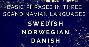 Scandinavian Languages Compared: Phrases in Swedish, Norwegian, Danish