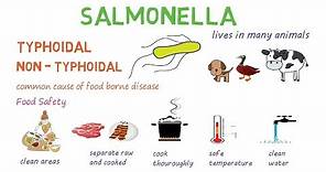 Salmonella - a quick introduction and overview