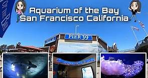 Aquarium of the Bay | Pier 39 | San Francisco | California