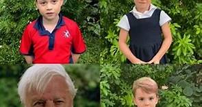 George, Charlotte e Louis, i baby Cambridge piccoli naturalisti nel loro primo video ufficiale