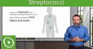 Streptococci – Microbiology | Lecturio