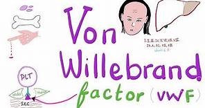 Von Willebrand Factor (vWF)