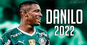 Danilo 2022 ● Palmeiras ► Skills, Goals & Tackles | HD
