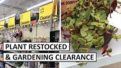 Walmart Houseplant Restocked & Clearance Gardening Items Shopping