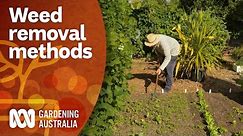 Remove weeds using these effective methods | Gardening 101 | Gardening Australia