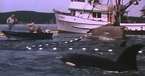 Free Willy 2: The Adventure Home Trailer 1995