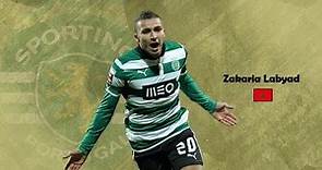 Zakaria Labyad | Sporting de Portugal | Skills, Goals, Assists | 2013 HD