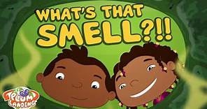 What's that Smell?!! - Jungle 2 | PLUM LANDING on PBS KIDS