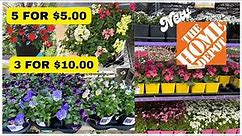 HOME DEPOT MARCH 2023 SPRING INVENTORY ANNUALS AND PERENNIALS
