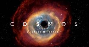 Cosmos: A Spacetime Odyssey (2014) | WatchDocumentaries.com