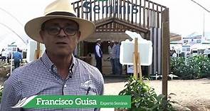 Francisco Guisa, líder en desarrollo tecnológico.