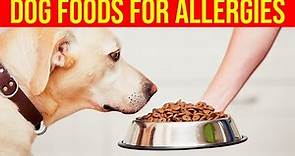 7 Best Foods For Dogs With Allergies/ Amazing Dogs