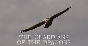 THE GUARDIANS OF THE DRAGONS by Juan de la Cueva Aldea