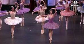 La Bella Durmiente Parte I Ballet Nacional Ruso S. Radchenko