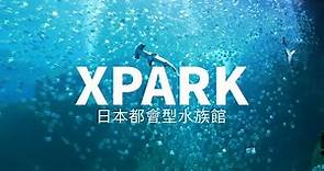 Xpark水族館一日遊，來跟著我一起看！華泰名品城隨意逛，折扣比想像大！台灣旅遊Vlog｜家庭兄弟